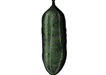 cucumber