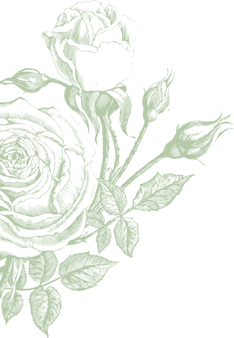 Rose background decoration