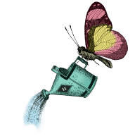 butterfly watercan