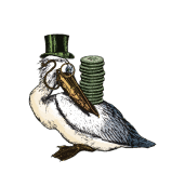 pelican