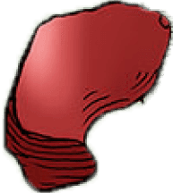 Petal