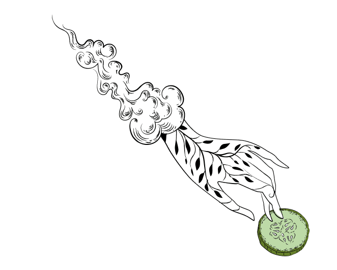 Illustration