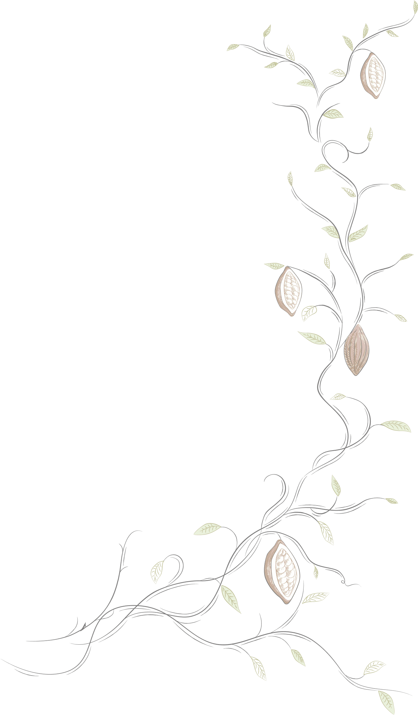 vine with orange blossom