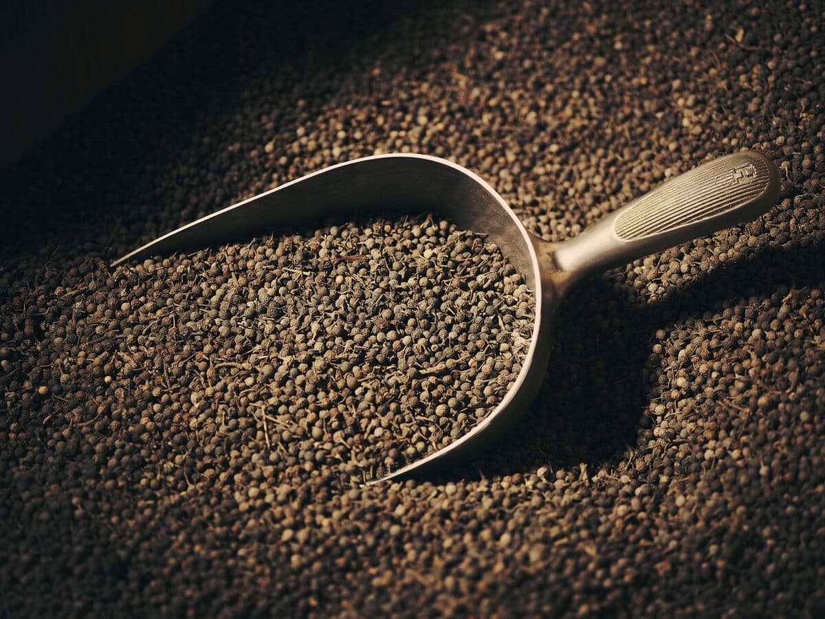 Botanical Cubeb berries