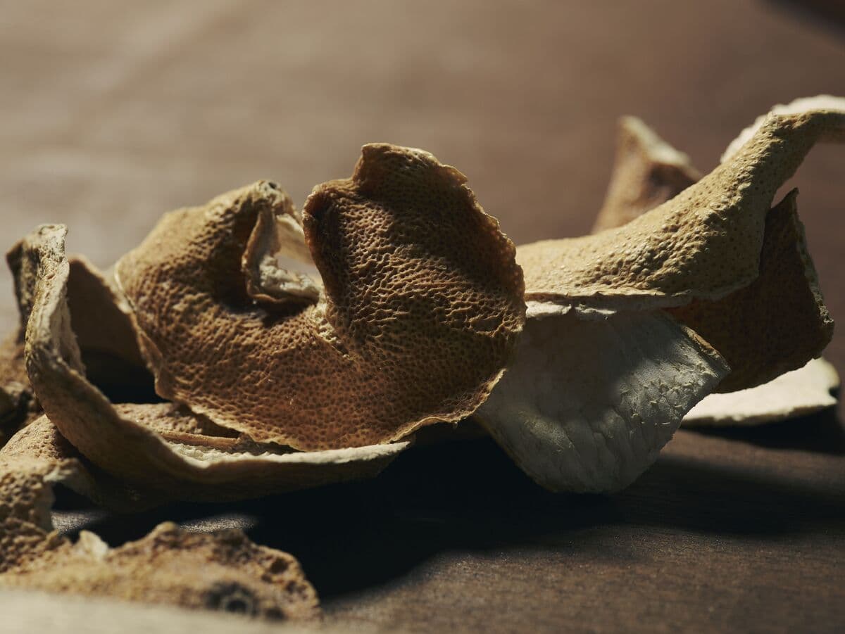 Botanical Lemon peel